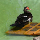 DSC00027.JPG