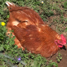 DSC00032.JPG