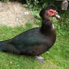 DSC00048.JPG