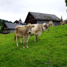 DSC00070.JPG