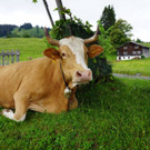 DSC072.JPG