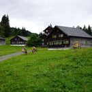 DSC00076.JPG