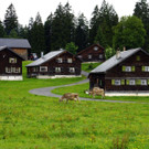 DSC00084.JPG