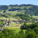 DSC0218.JPG