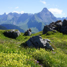 DSC00223.JPG