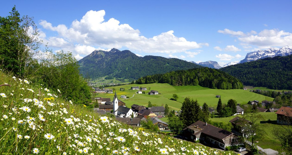 DSC0240_.jpg