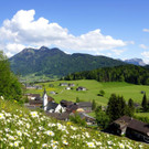 DSC0240_.jpg