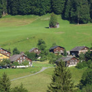 DSC0242.JPG