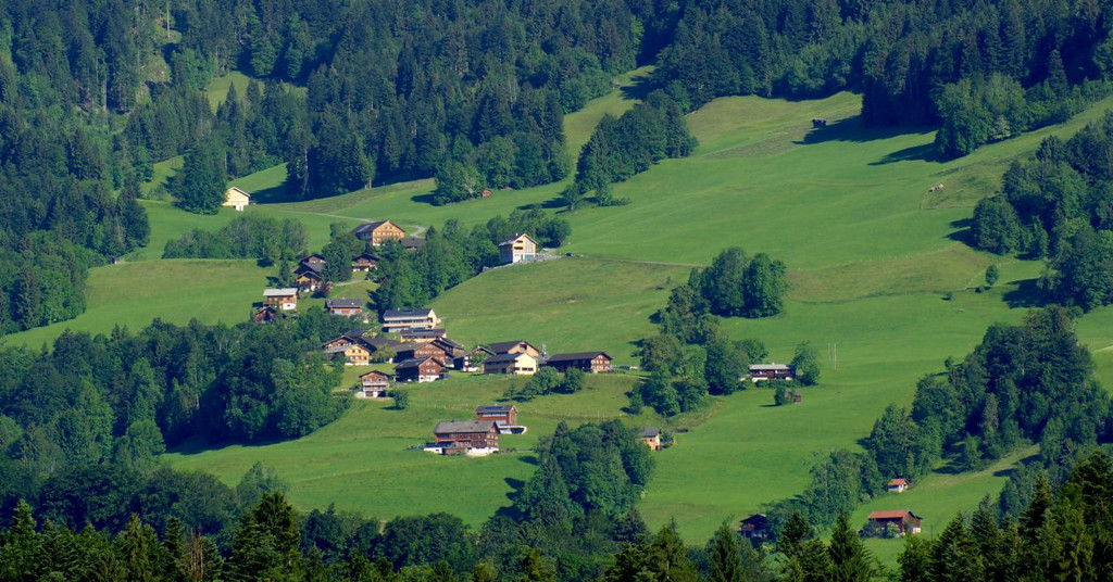 DSC0243.JPG