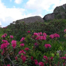 DSC01168.JPG