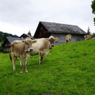 DSC01224.JPG