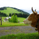 DSC01228.JPG