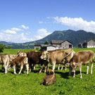 DSC08985.JPG
