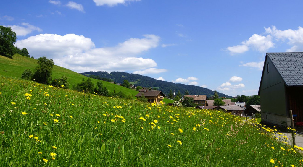 DSC09032.JPG