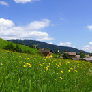 DSC09032.JPG