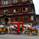 DSC09058.JPG