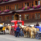 DSC09075_.JPG