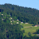 DSC09075.JPG