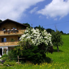 DSC09080.JPG
