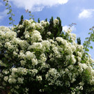 DSC09081.JPG