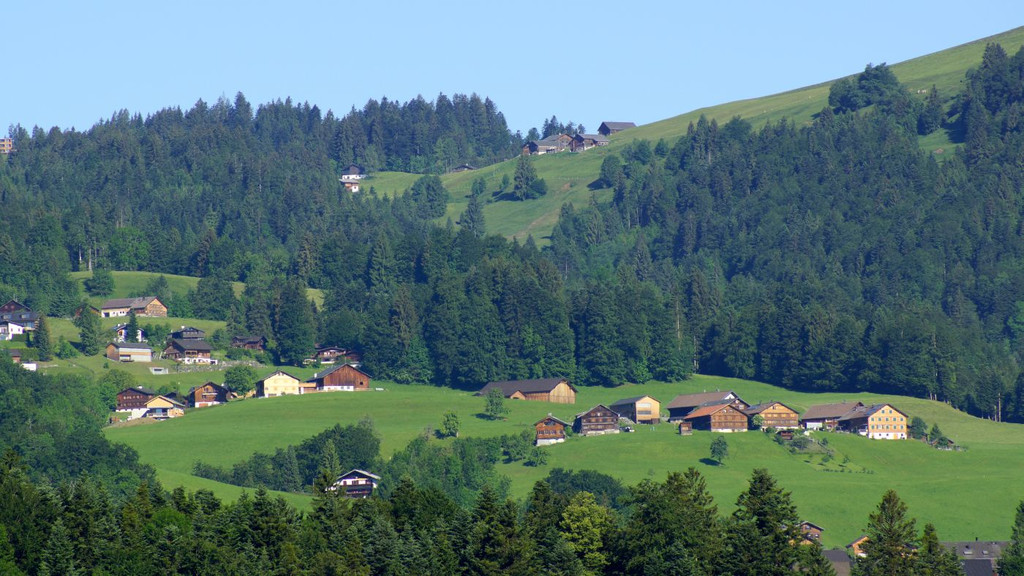 DSC09090.JPG