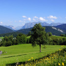 DSC09092.JPG
