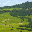 DSC09124.JPG
