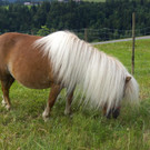 DSC09130.JPG