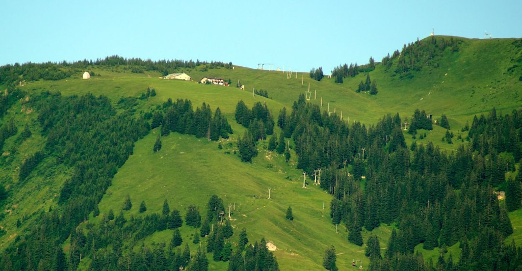 DSC09245.JPG