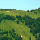 DSC09245.JPG