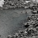 DSC06618 _Medium_.JPG