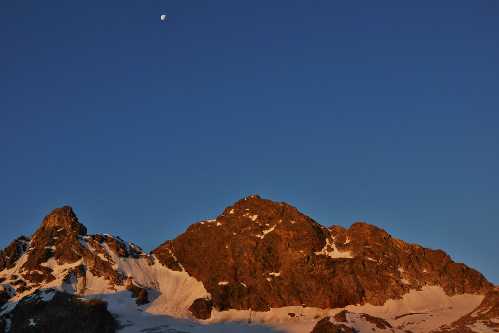 DSC06647 _Medium_.JPG