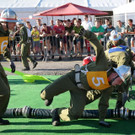 18_7_2014 Feuerwehrfest Gro__dorf 17.jpg