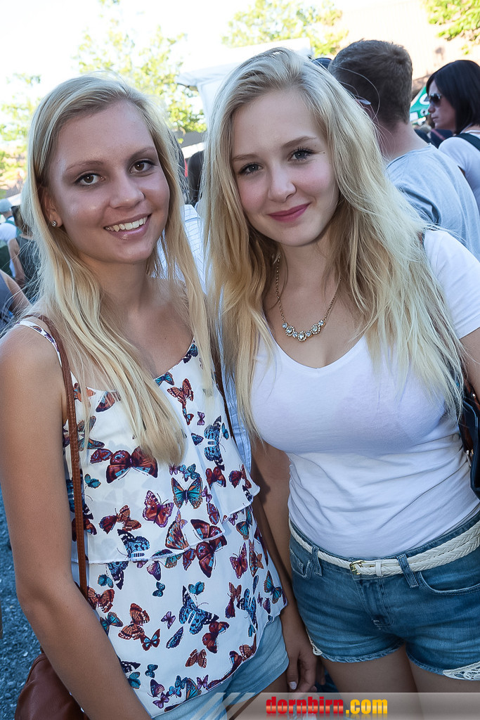 13764068.jpg