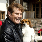 AiderbichlHasselhoff2404201001.jpg