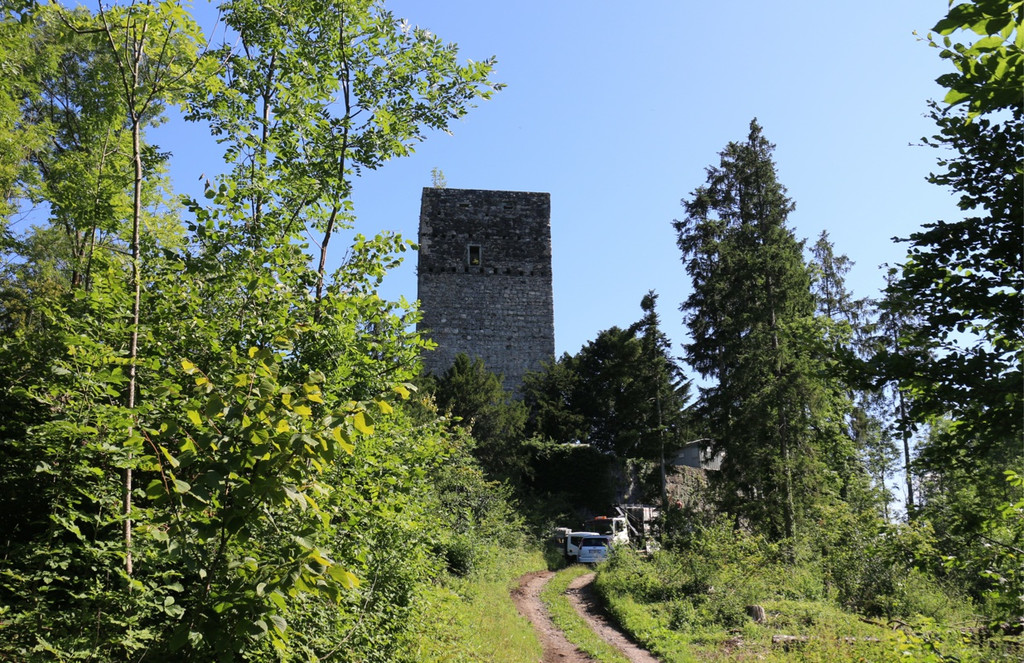 KOE_Tostner Burg Ausdgabungen 1.jpg