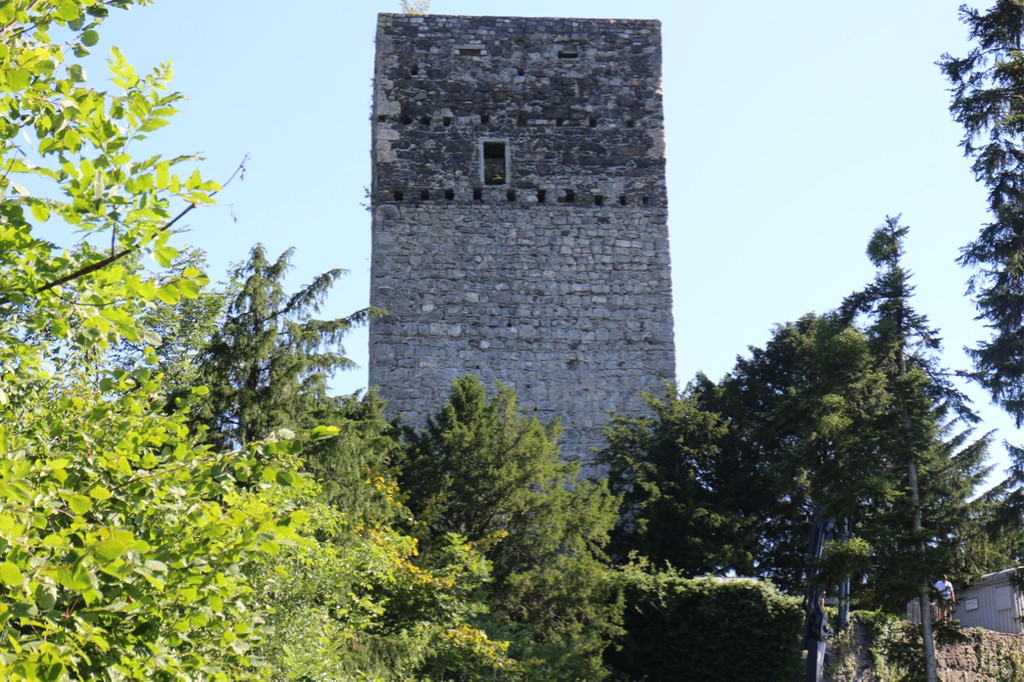 KOE_Tostner Burg Ausdgabungen 2.jpg