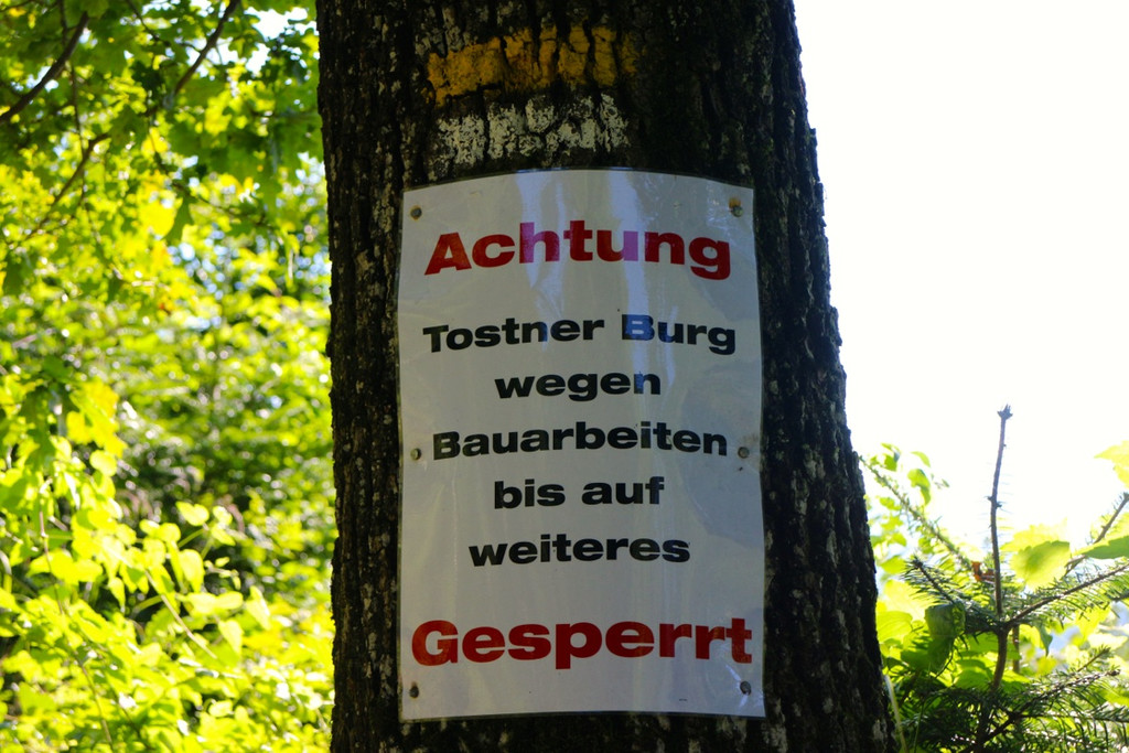 KOE_Tostner Burg Ausdgabungen 23.jpg