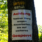 KOE_Tostner Burg Ausdgabungen 23.jpg