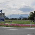 DSC_0130.JPG
