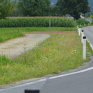 DSC_7830.JPG