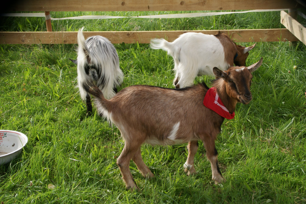 DSC08884.JPG