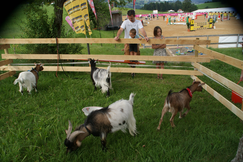 DSC08885.JPG