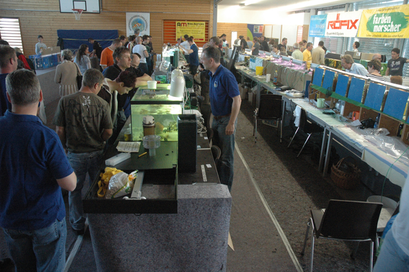 DSC_4911_JPG-1272194656