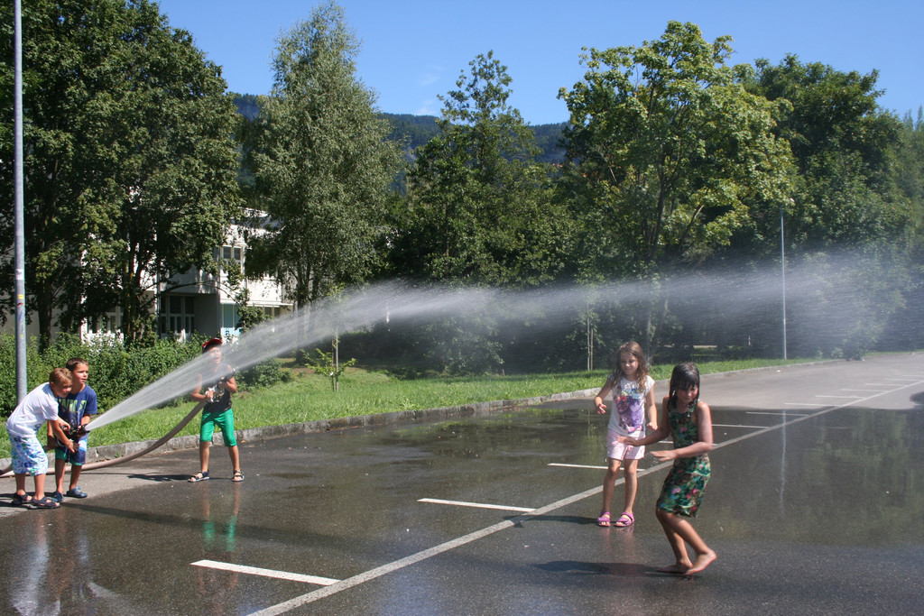 IMG_4230.jpg