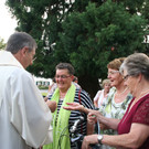 IMG_4380.jpg