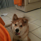 lucky1_jpg-1272197851