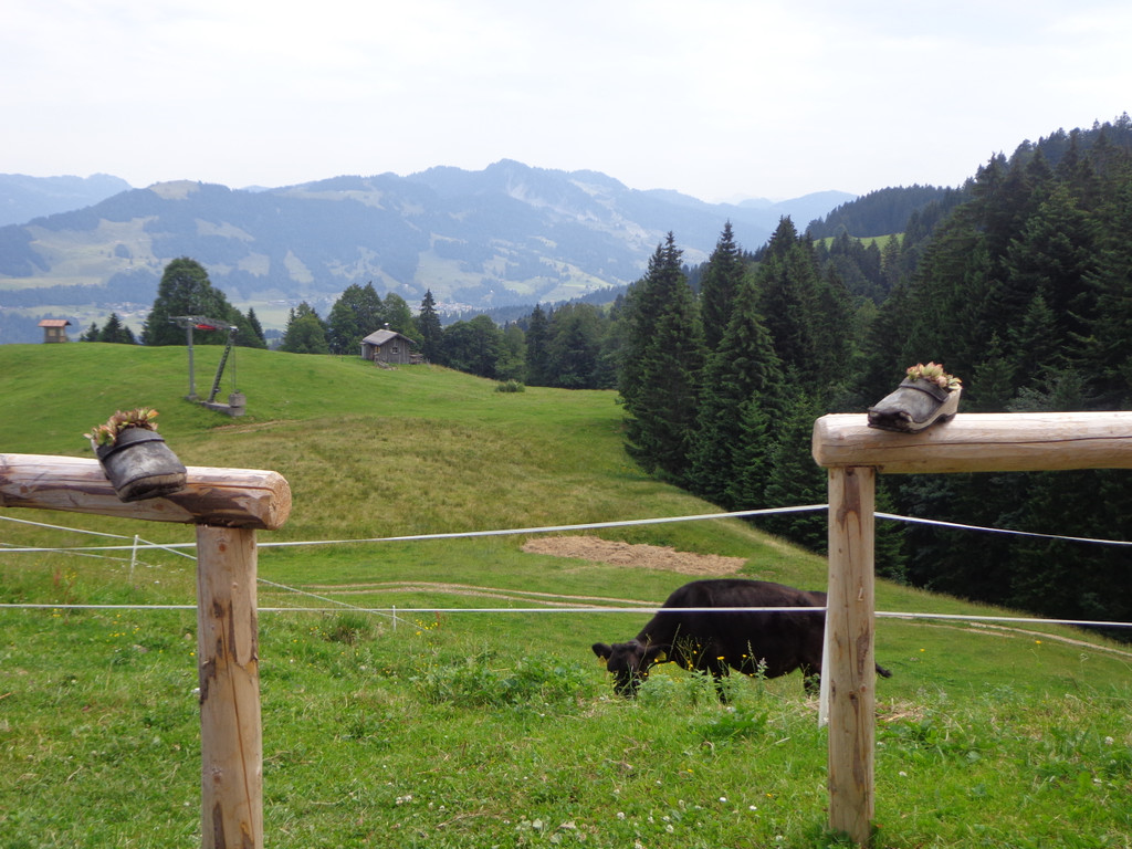 Alpe Brongen - 20_7_2014 021.JPG