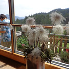 Alpe Brongen - 20_7_2014 027.JPG