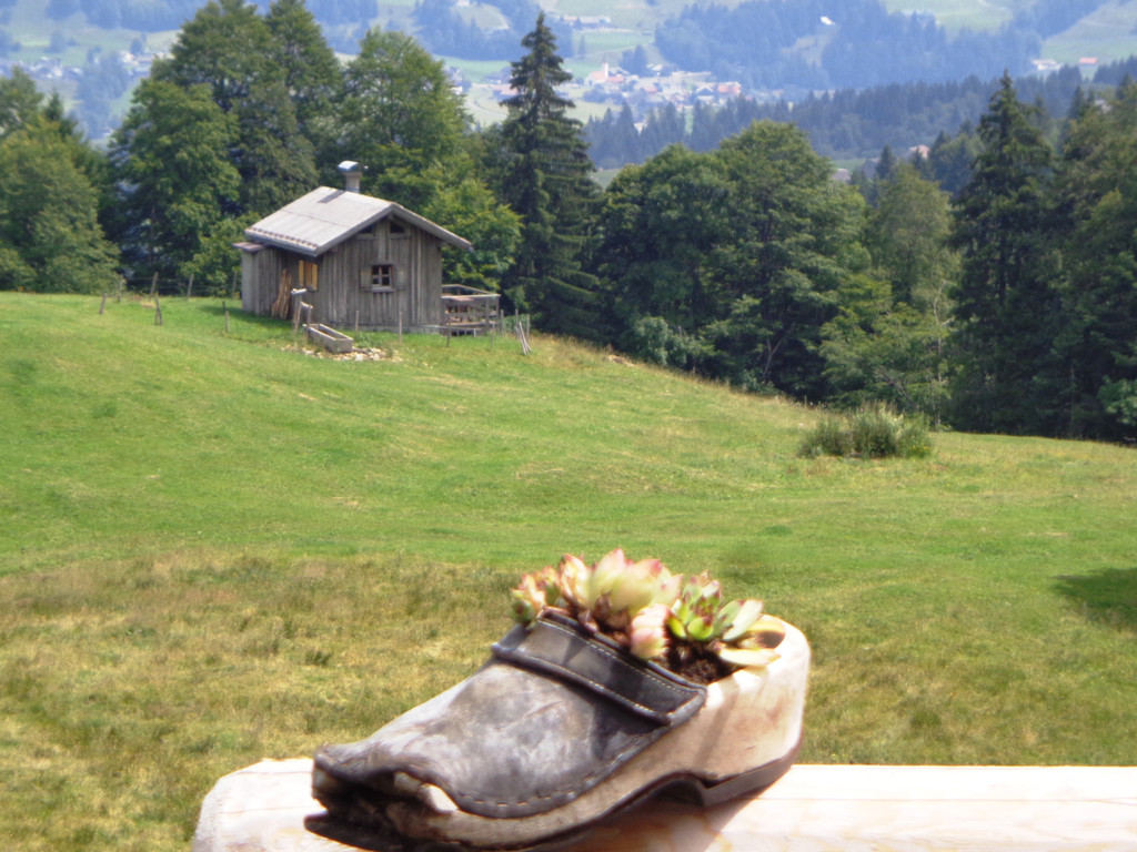 Alpe Brongen - 20_7_2014 056.JPG